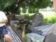 Thumbs/tn_196_9636.jpg